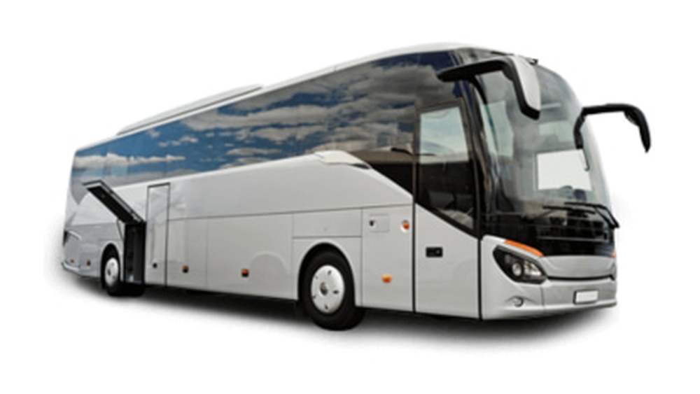 types of buses