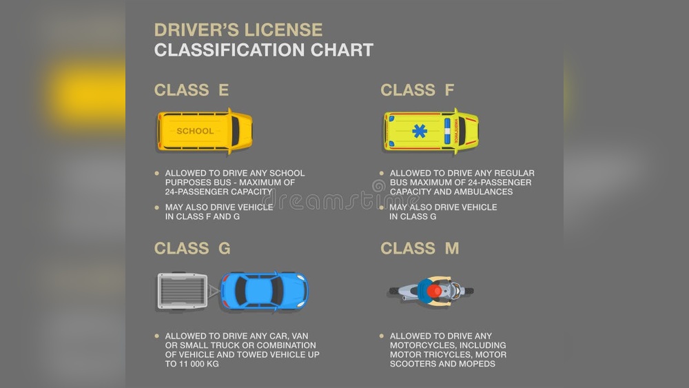 types of car driving permits